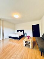 Cozy Garden Villa near Danube For 16P
