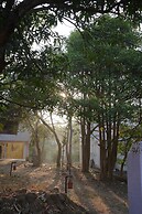 The Jungle Woods Resort