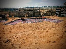 Flamingo Camp