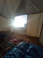 Flamingo Camp