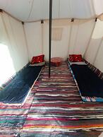 Flamingo Camp