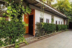 Apartment Green Amazon