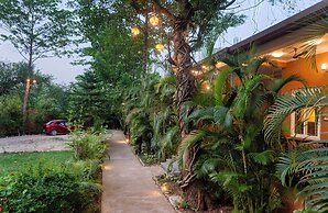 The Forest Roar