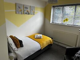 Amber House