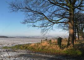 Lodge in Thirsk With Spa & Countryside Views