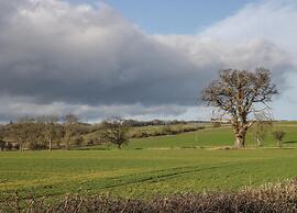 Lodge in Thirsk With Spa & Scenic Trails