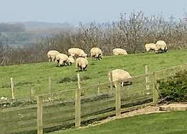 Lodge in Thirsk With Spa & Scenic Trails