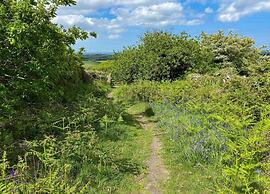 Cottage in Cornwall Near Bodmin Moor
