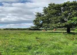 Glamping Pod in Yorkshire Wolds Countryside