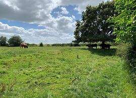 Glamping Pod in Yorkshire Wolds Countryside