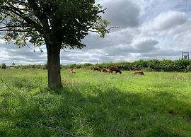 Glamping Pod in Yorkshire Wolds Countryside