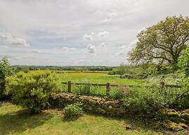 Shepherd's Hut Near Cotswolds & Sky Dive Fun