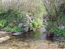 Back Cottage