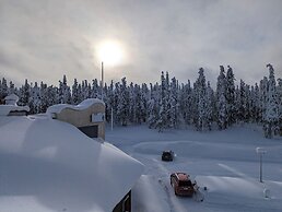 Arctic Nest