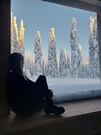 Arctic Nest