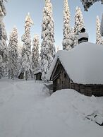 Arctic Nest
