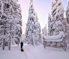 Arctic Nest
