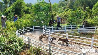 Emerald Lagoon Retreat Phu Quoc