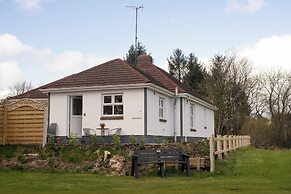 Shirley's House