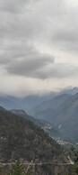 Exotic Mount View