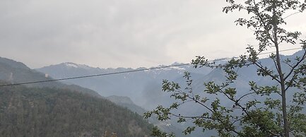 Exotic Mount View