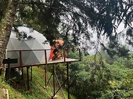Finca Montaña Magica