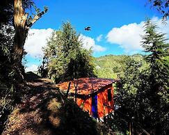 Finca Montaña Magica