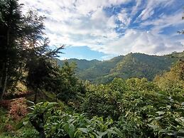 Finca Montaña Magica
