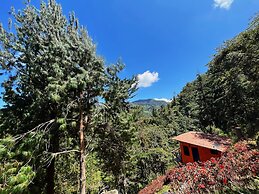 Finca Montaña Magica
