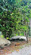 Hotel O Jerai Nature Glamping