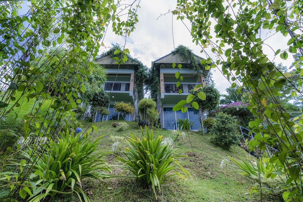 Floresta resorts
