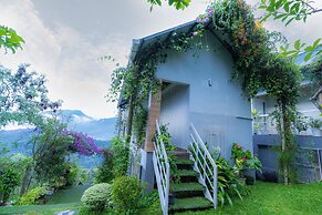 Floresta resorts
