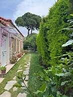 Mi Amor Phokaia Konuk Evi