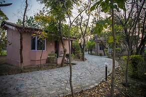 Ashoka Tiger Trail By VistaLux