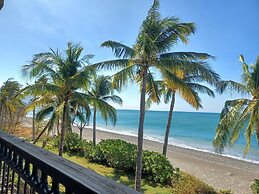 Jasmine Bay