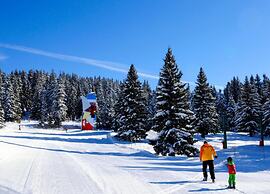 Studio in Chamrousse Near Ski Resort