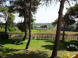 Sole del Mediterraneo