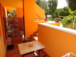 Sole del Mediterraneo