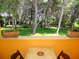 Sole del Mediterraneo