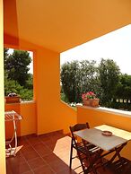 Sole del Mediterraneo