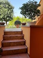 Sole del Mediterraneo