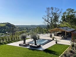 Forest View