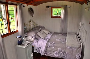 Shepherd's Hut in Romsey With Fire Pit