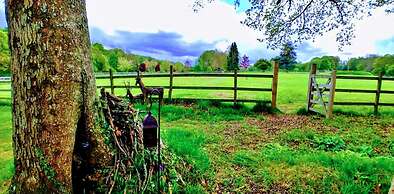 Shepherd's Hut in Romsey With Fire Pit