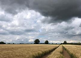 Glamping in Northamptonshire Near Cotswolds