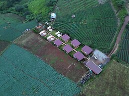 Koya Homestay