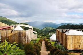 Koya Homestay