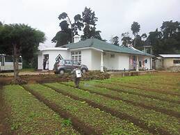 Silver Meir Bungalow