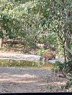 Hriday Bhoomi - Luxury Cottages & Villa
