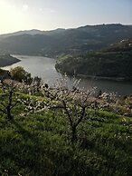 Quinta D'Joanes Douro
